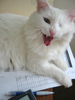 Midterm grades are due Nutsu